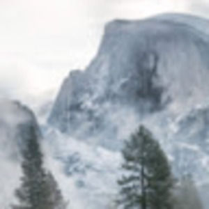 Meet your Posher, Cole